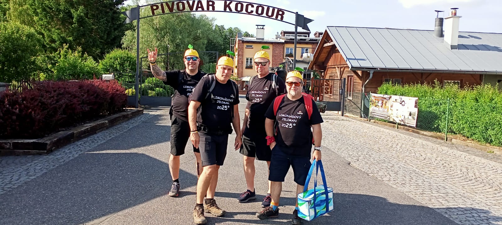 bbfff154-def1-4e49-b420-c5d433d701a3