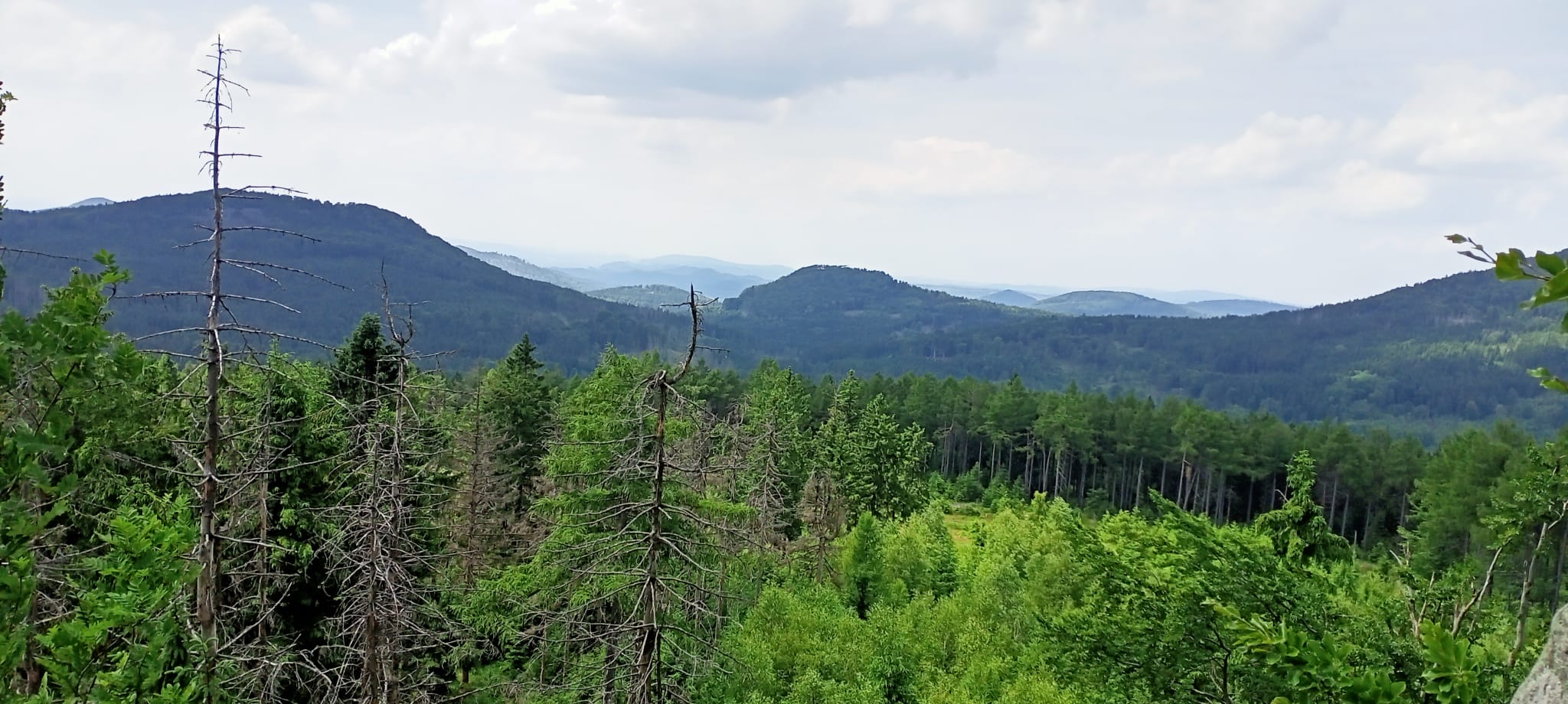 d5862662-8c15-4bc0-b247-6dc62248da11